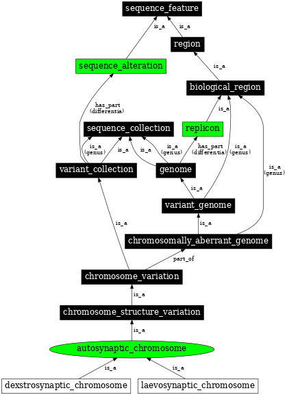 Graph image for SO:1000136