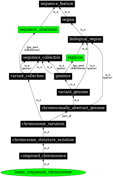 Graph image for SO:1000138