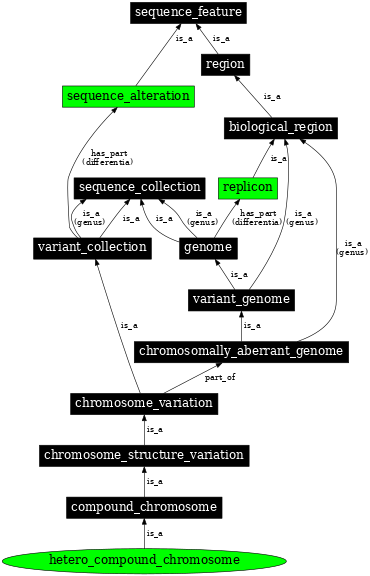 Graph image for SO:1000140