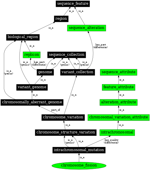 Graph image for SO:1000141