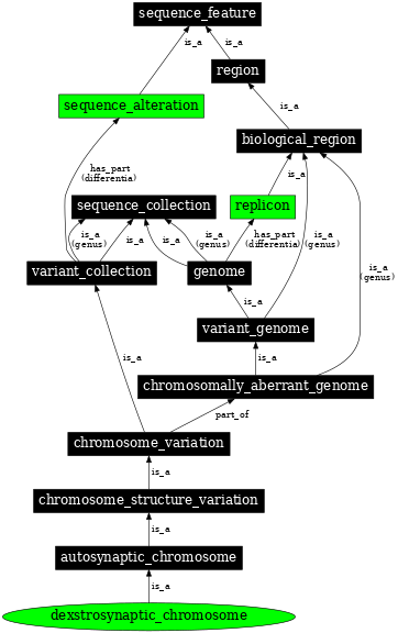 Graph image for SO:1000142