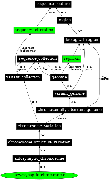 Graph image for SO:1000143