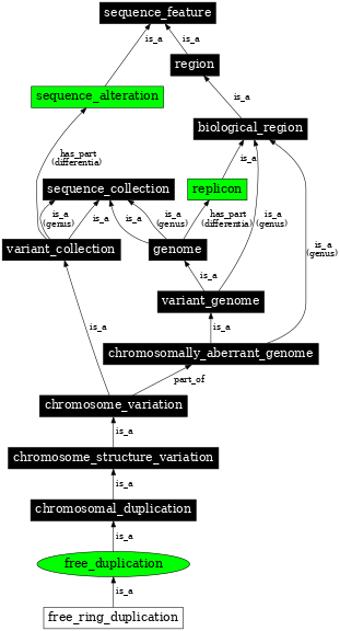 Graph image for SO:1000144