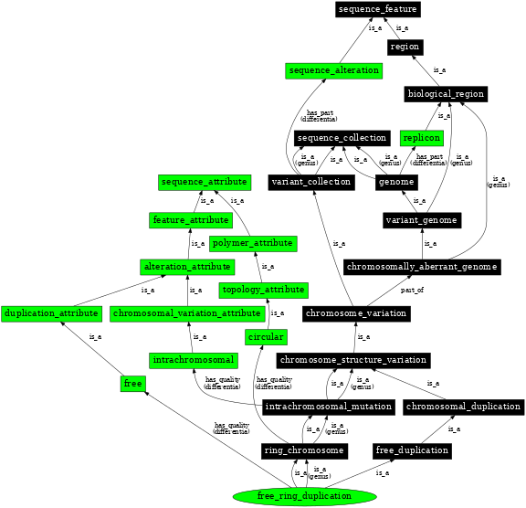 Graph image for SO:1000145