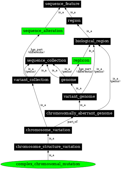 Graph image for SO:1000146