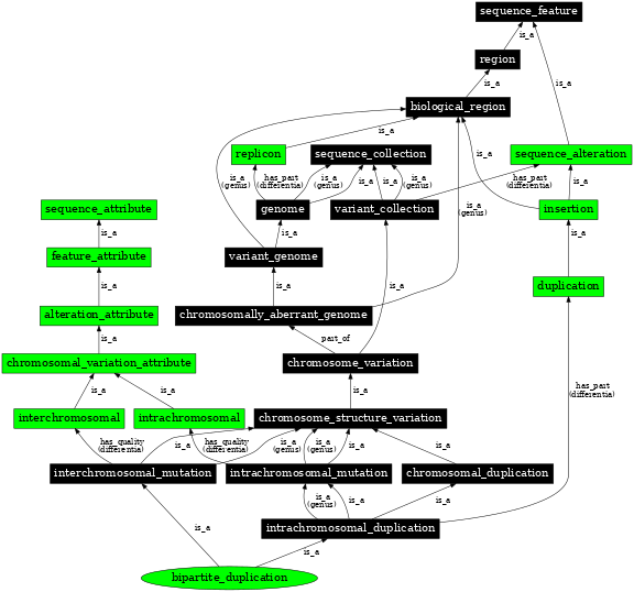 Graph image for SO:1000149