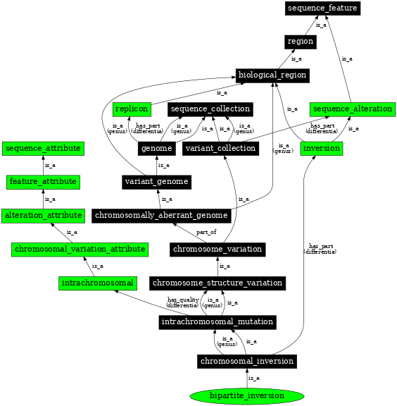 Graph image for SO:1000151