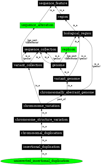 Graph image for SO:1000152