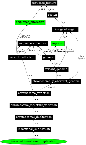 Graph image for SO:1000153