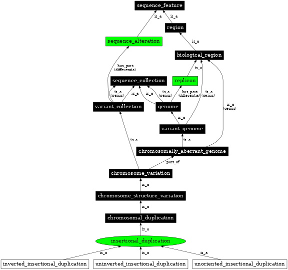Graph image for SO:1000154