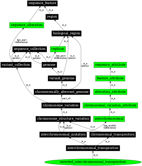 Graph image for SO:1000156