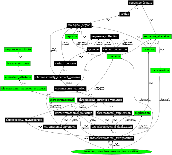 Graph image for SO:1000158