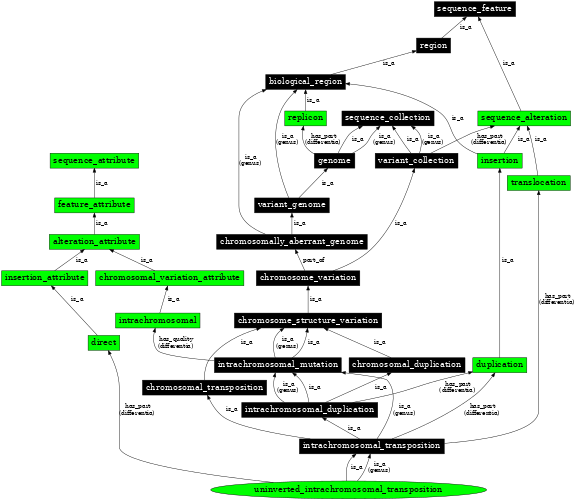 Graph image for SO:1000159