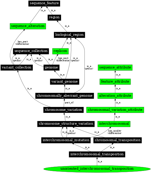 Graph image for SO:1000161