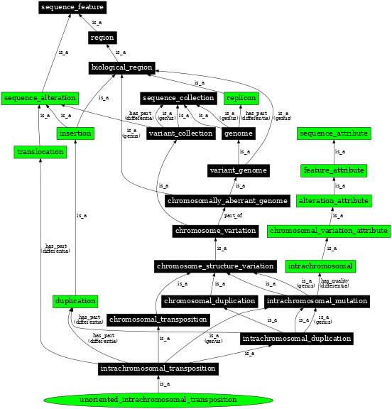 Graph image for SO:1000162