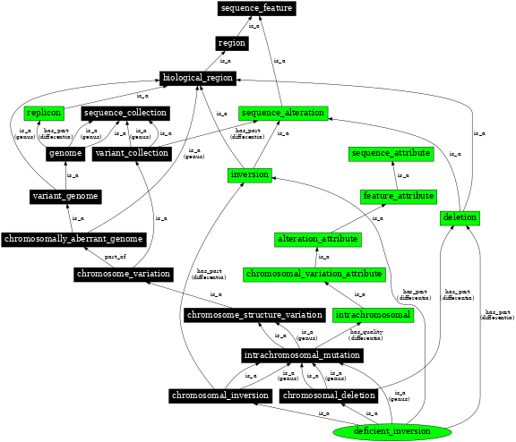 Graph image for SO:1000171