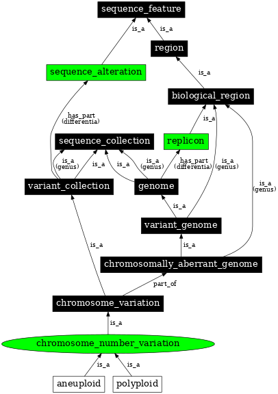 Graph image for SO:1000182