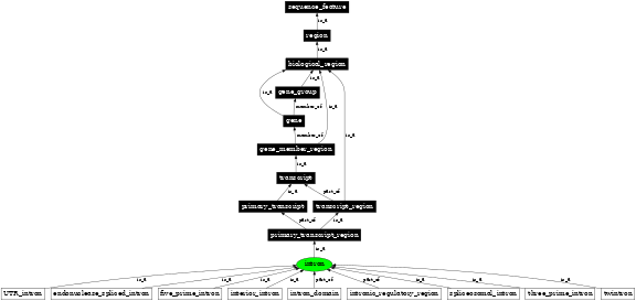 Graph image for SO:0000188