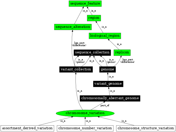 Graph image for SO:0000240