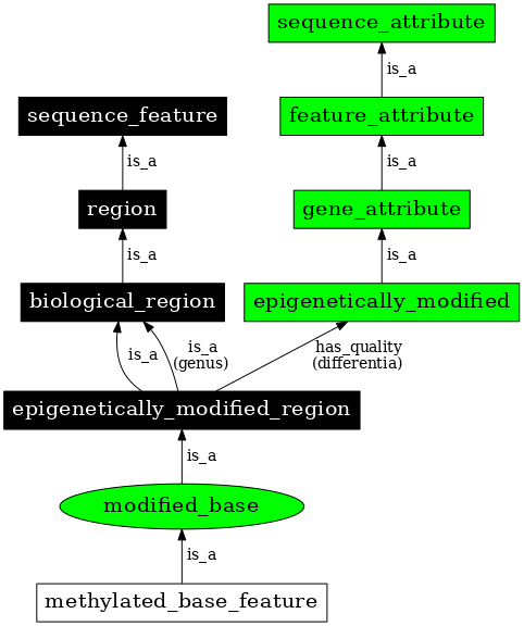 Graph image for SO:0000305