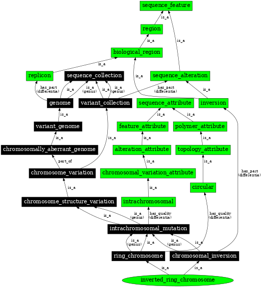 Graph image for SO:0000439