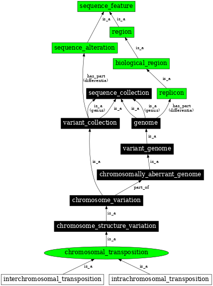 Graph image for SO:0000453