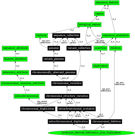 Graph image for SO:0000465