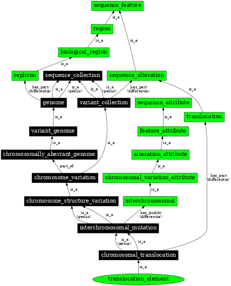 Graph image for SO:0000686