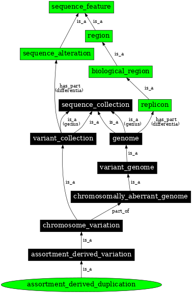 Graph image for SO:0000800