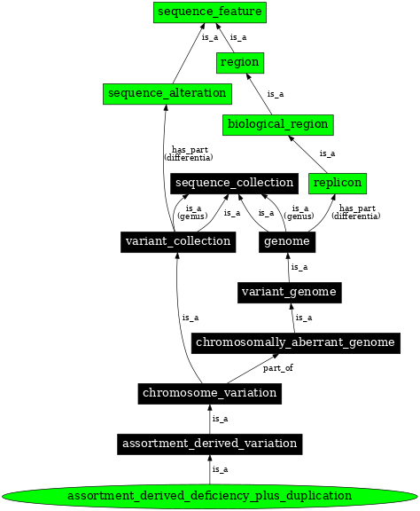 Graph image for SO:0000801