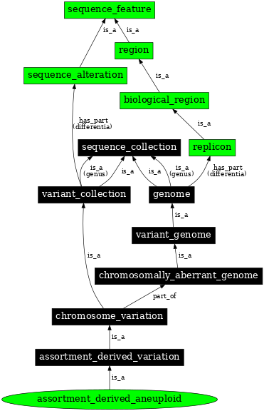 Graph image for SO:0000803