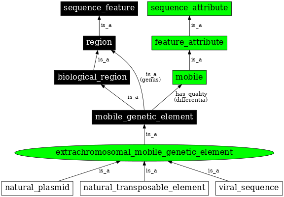 Graph image for SO:0001038