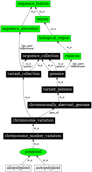Graph image for SO:0001254