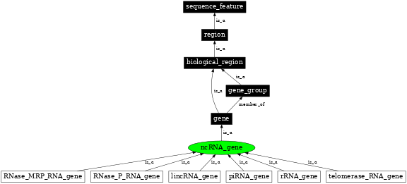 Graph image for SO:0001263