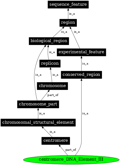 Graph image for SO:0001495