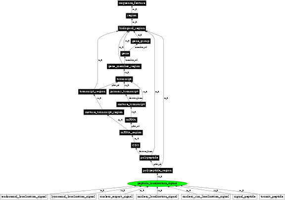 Graph image for SO:0001527