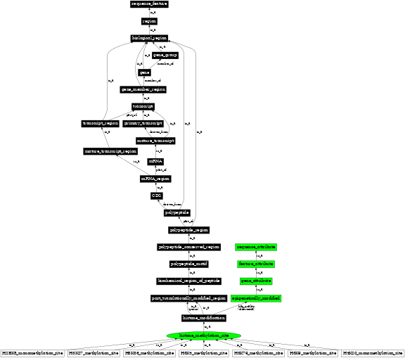 Graph image for SO:0001701