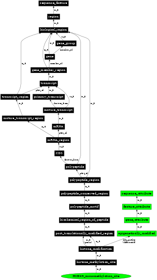 Graph image for SO:0001714