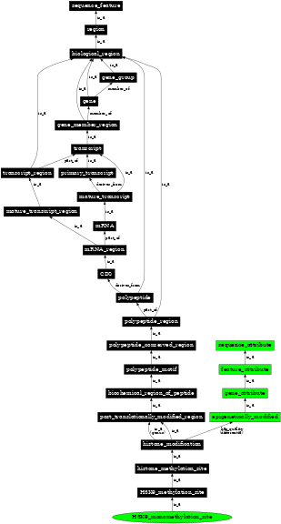 Graph image for SO:0001727