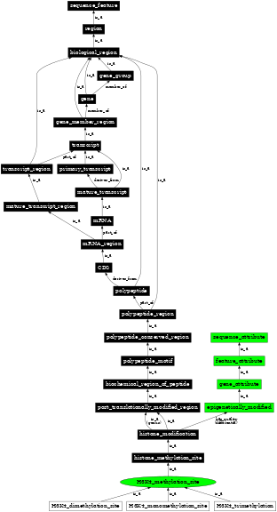 Graph image for SO:0001734