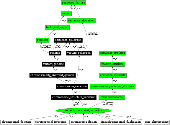 Graph image for SO:1000028