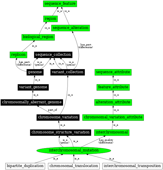 Graph image for SO:1000031