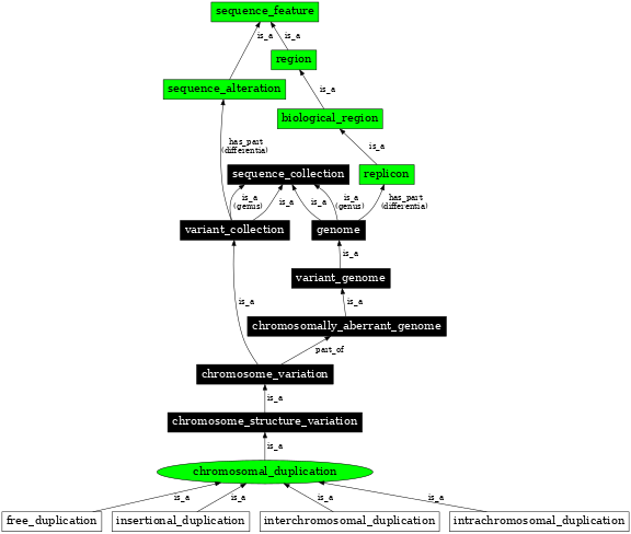 Graph image for SO:1000037