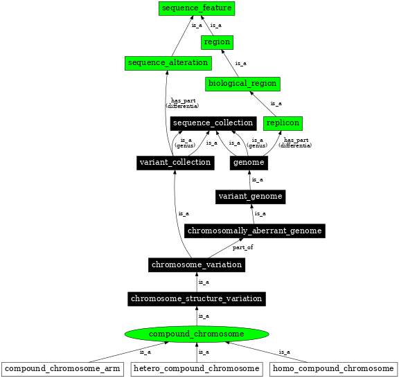 Graph image for SO:1000042
