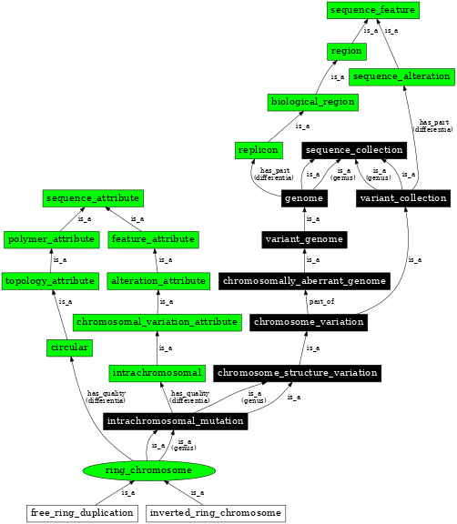 Graph image for SO:1000045