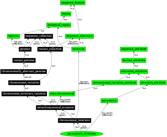 Graph image for SO:1000047