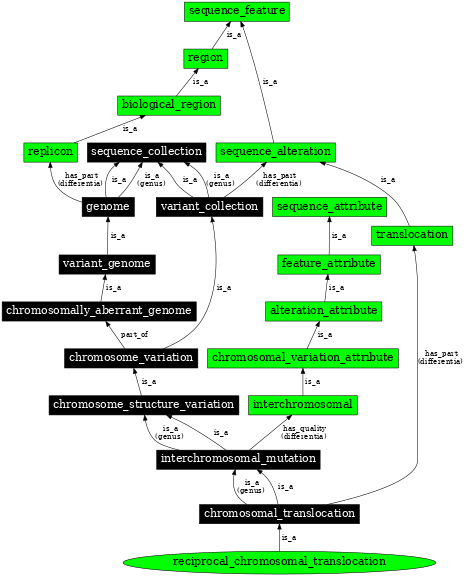 Graph image for SO:1000048