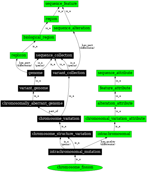 Graph image for SO:1000141