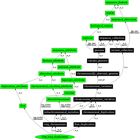 Graph image for SO:1000145
