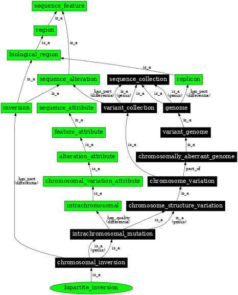 Graph image for SO:1000151